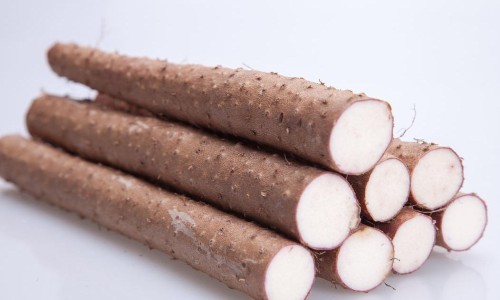 桑寄生的功效与作用及食用方法网 - 为你提供桑寄生降压功效与作用、桑寄生功效作用与主治能治疗麻木吗